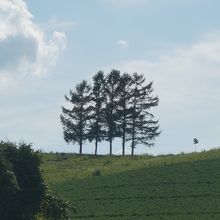 富良野ぶらり 上富良野 中富良野へ 富良野 北海道 の旅行記 ブログ By オコタンペコさん フォートラベル