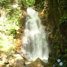 220x220_11114505.jpg?