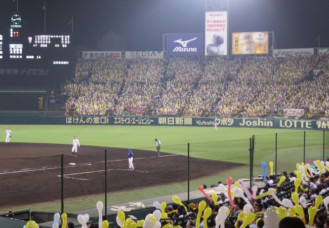 甲子園球場写真額 公式】阪神甲子園球場 on X: 