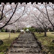 乾坤院の桜も見逃せない