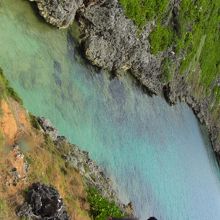 こちらの透明度はなかなか良いです。