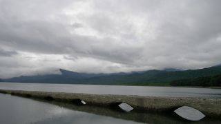 出来たてホヤホヤの熊のウンチがあった