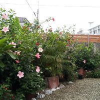 毎回、ビール呑みながら宿の方と語らうすてきなお庭。