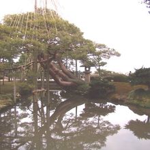 燈籠の奥に橋が・・・