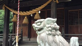 森に囲まれた社