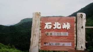 眼下に樹海が広がる