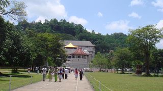 見応えあります