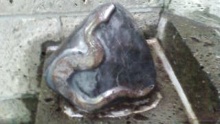 仙台のパワースポット・・ご利益は・・金運云々