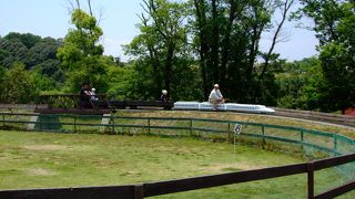 楽しかったです