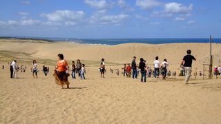 鳥取といえばここ