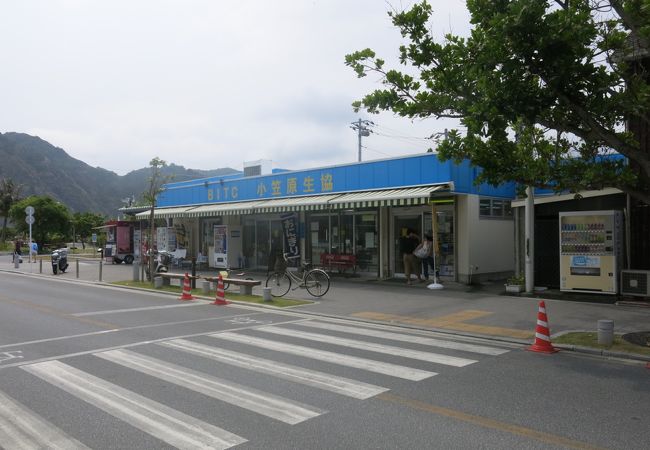 B I T C 小笠原生協 クチコミ アクセス 営業時間 父島 フォートラベル B I T C 小笠原生協 クチコミ アクセス 営業時間 父島 フォートラベル
