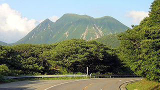 風光明媚な無料の道路