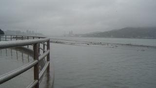 東洋のベニスらしいが・・・