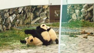 子連れにぴったり