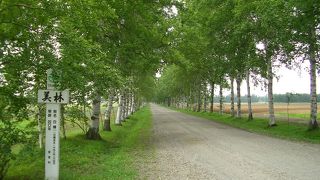 千代田区の4倍近くという広大さ