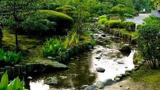 曲がっているからなのか名前は・・・