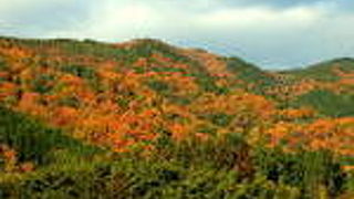 都会のやすらぎ