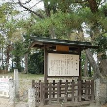 神社の境内なので保存状態は良好です