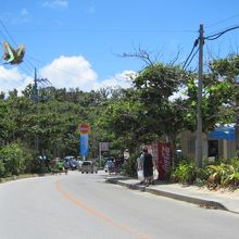 左側がビーチ、右側が駐車車