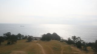 近大マグロ、お勧め