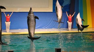 十分に楽しめますね