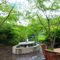 敷地内の足湯。入っている人を最後まで見なかった。