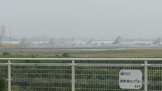 飛行機が近くで見れる