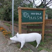 自家農場の福豚レストラン！