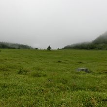 木道のあるところの湿原です　霧がすごい