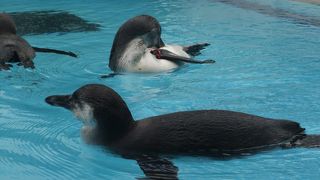 楽しい水族館♪
