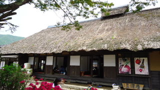 一番人気で美味しい！