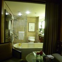 電動カーテンを開けたところ