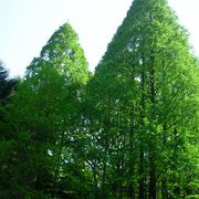 里山のように広い敷地と生物多様性