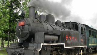 本物の蒸気機関車が走っています