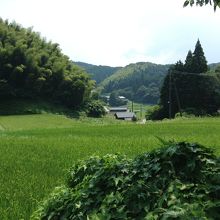 お店からの眺めです