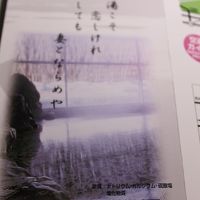 湖静荘さんのパンフレットから。成分が掲載されていました。