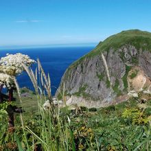 代表的スポット。高山植物と桃岩