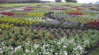 やっぱり春に行きたいな！