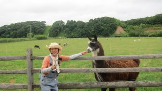 四季折々の草花のガーデンと動物たちとのふれあい