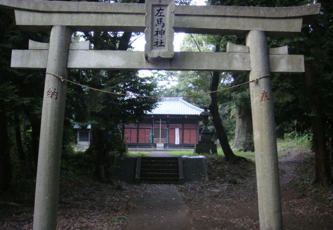 通り過ごしてしまいそうな神社