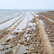 青島を囲む独特の海岸地形