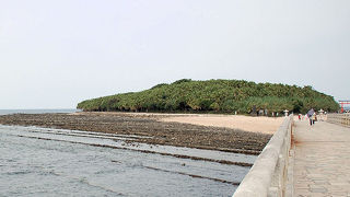 砂州の上に弥生橋
