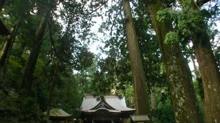 ｢西の高野｣と呼ばれています