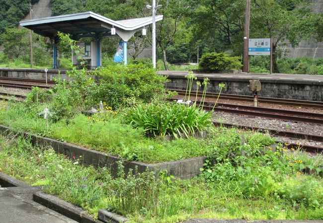 江川崎駅 クチコミ アクセス 営業時間 中村 四万十川周辺 フォートラベル 江川崎駅 クチコミ アクセス 営業時間 中村 四万十川周辺 フォートラベル