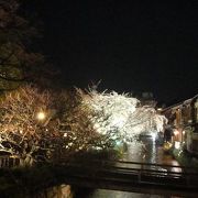 桜のライトアップ