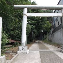 参道の上から富士山が見えると・・