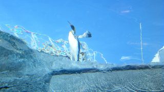 絶対行くべき！大人も子供も楽しめる動物園☆