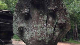 何とも言えない不思議な雰囲気が素敵