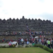 日中はこのような混雑状態