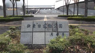 大きな運動公園ですね